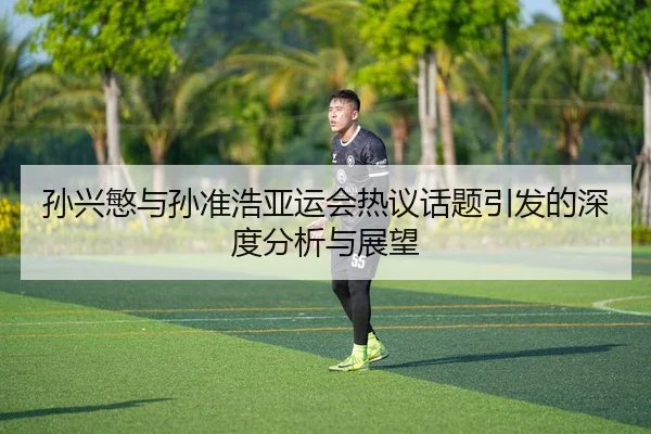 sun-xing-min-yu-sun-zhun-hao-ya-yun-hui-re-yi-hua-ti-yin-fa-de-shen-du-fen-xi-yu-zhan-wang-2-201.jpg